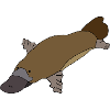 Platypus