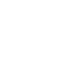 Miniature Bull Terrier