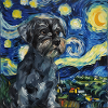 Schnauzer in miniatura, cane, van gogh, notte stellata