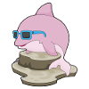Dolphin Sunglasses