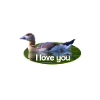 je t’aime je t’aime
