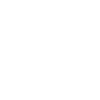 Acoustic Guitar