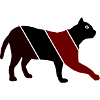Cat 1