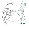 RIDM Humming-Bird