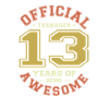adolescent, anniversaire, officiel,