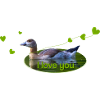 I love you