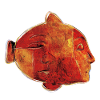 POISSON