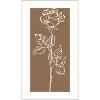 Beige Elegance