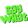 Say What