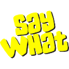 Say What
