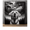 Labrador