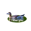 I love you