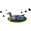 love you I love you