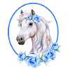Romantisches weißes Pferd - Rosen hellblau