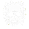 white drawn skull