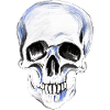 white painted skull