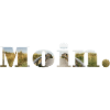 Moin