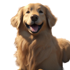 Golden Retriever Smile Tee Art