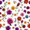 Flowers 2