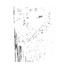 Death