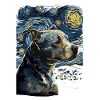 Pitbull Dog Starry Night