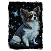 Papillon Hund Starry Night