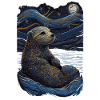 Loutre Nuit étoilée