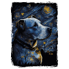 Pitbull Hund Starry Night