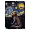 Loutre Nuit étoilée