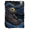 Loutre Nuit étoilée