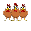 Poultry Chicken Farm Farmer Chickens