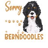Bernedoodle Dog