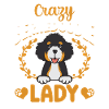 Bernedoodle Dog