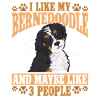 Bernedoodle Dog