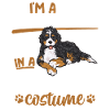 Bernedoodle Dog