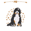 Chien Bernedoodle