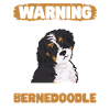 Bernedoodle Hund