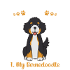 Bernedoodle Dog