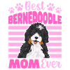 Bernedoodle Hund