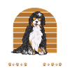 Bernedoodle Dog