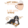 Bernedoodle Dog