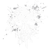 speckled skull in white
