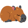 Capybara sleeps