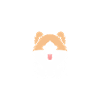 Humour chien Spitz