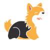 Humour chien Spitz