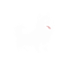 Humour chien Spitz