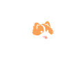 Humour chien Spitz