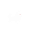 Humour chien Spitz