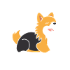 Humour chien Spitz