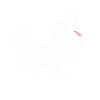Humour chien Spitz
